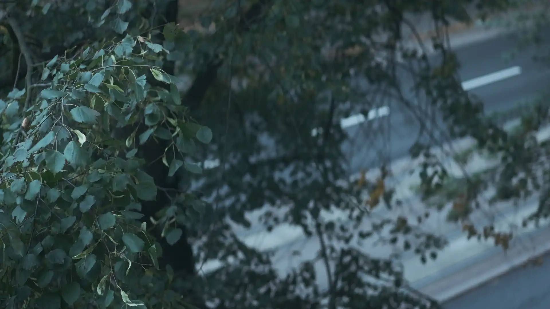 Kallio and Vallila, September 2023. Shot with an Fujifilm XT-3 with Sirui 50mm f/1.8 and Samyang 12mm f/2.0 lenses.